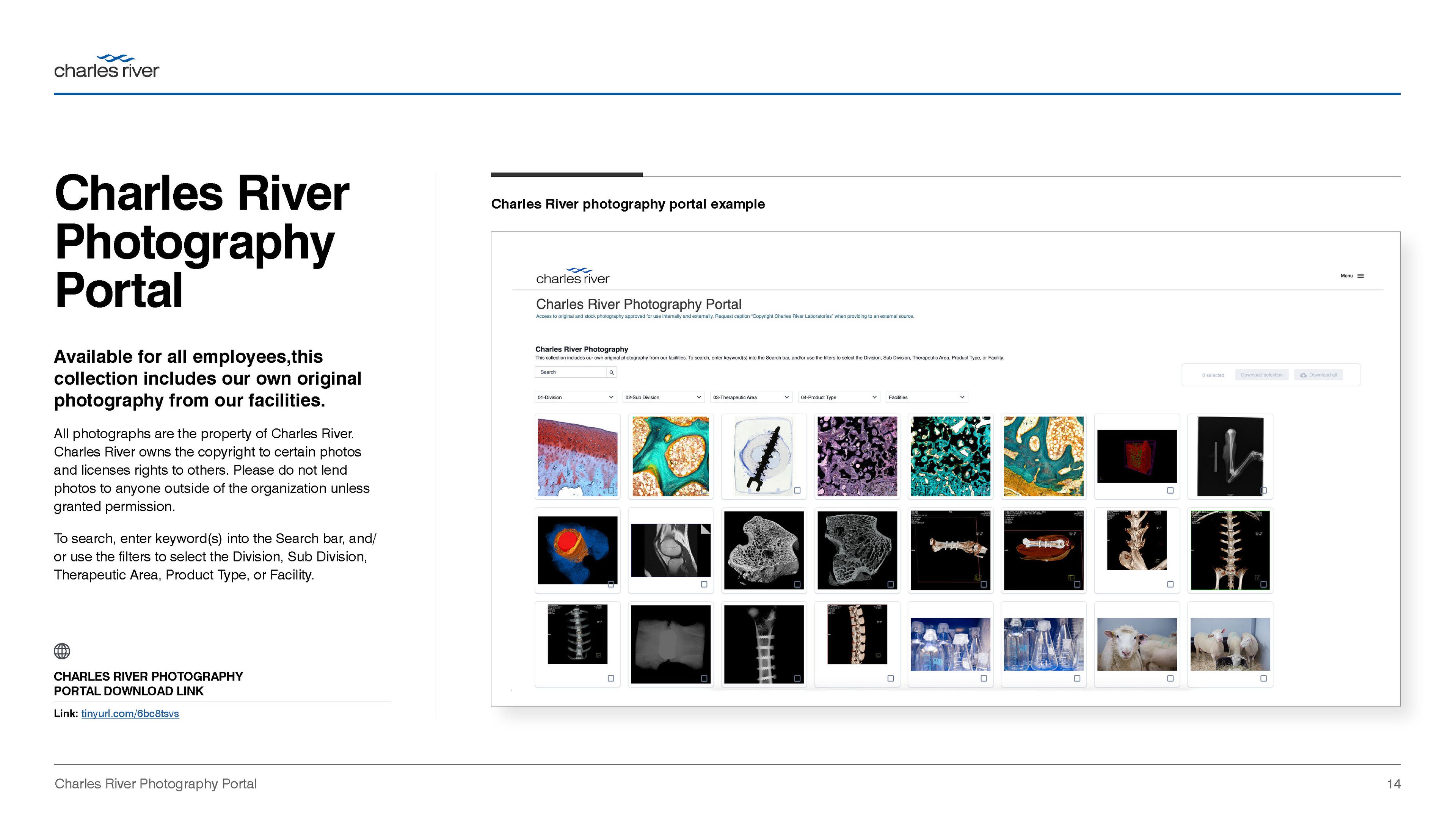 Photography and Imagery