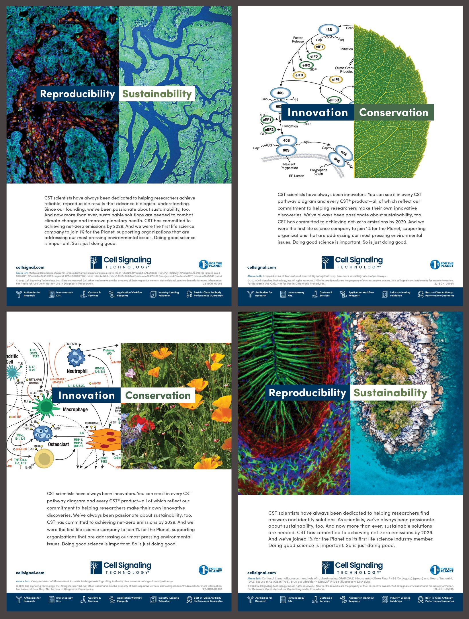 Reproducibility Sustainability