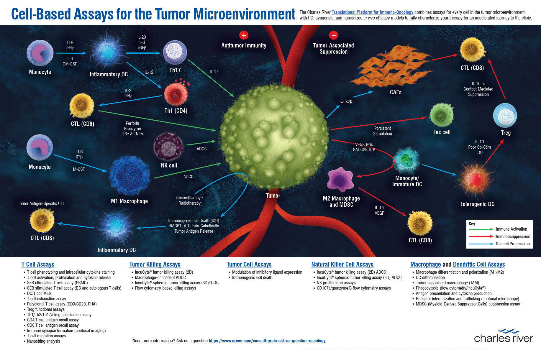 Tumor Microenvironment