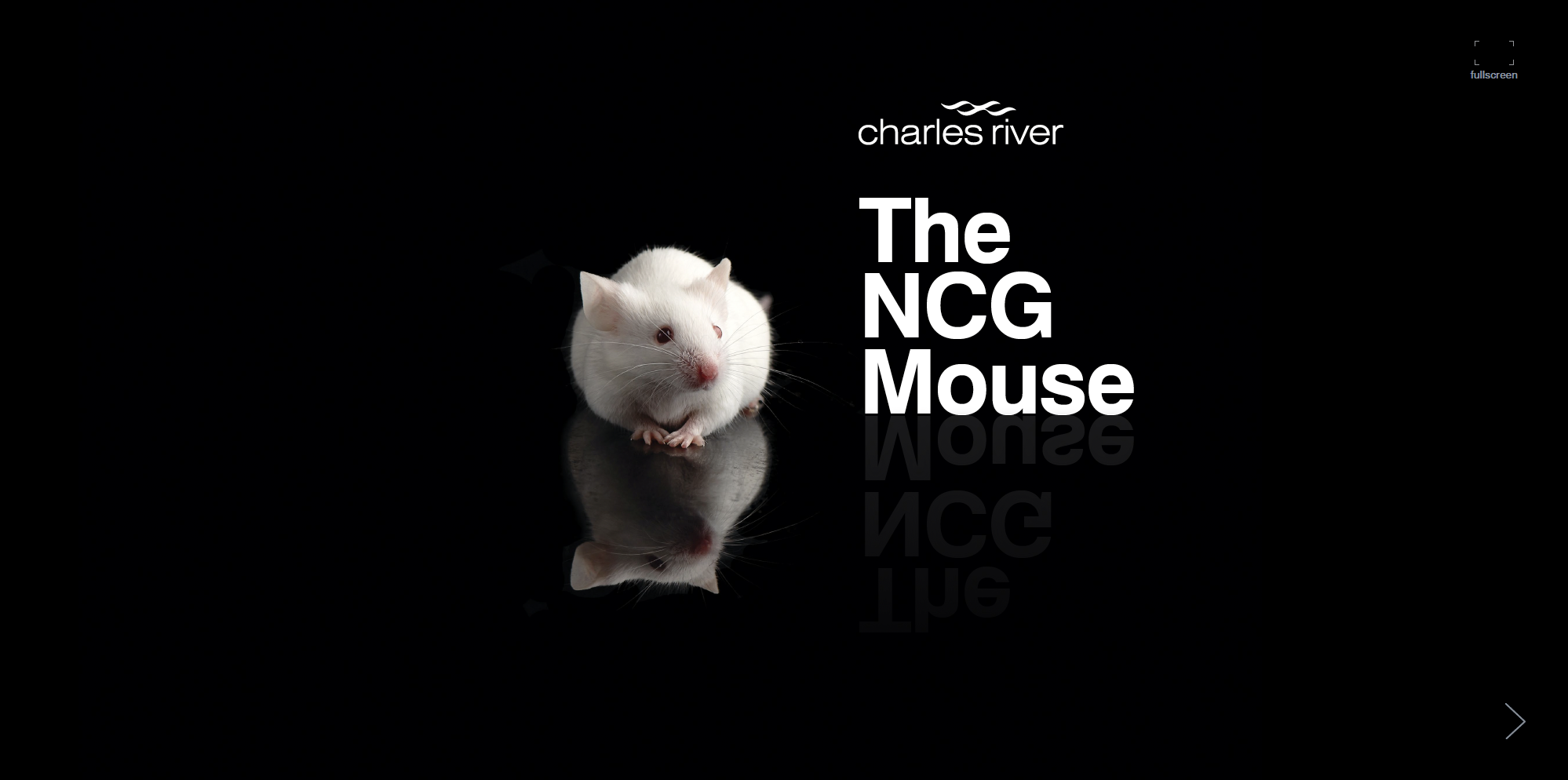 The NCG Mouse